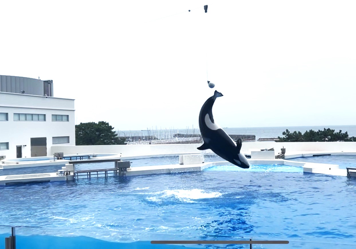 須磨シーワールド