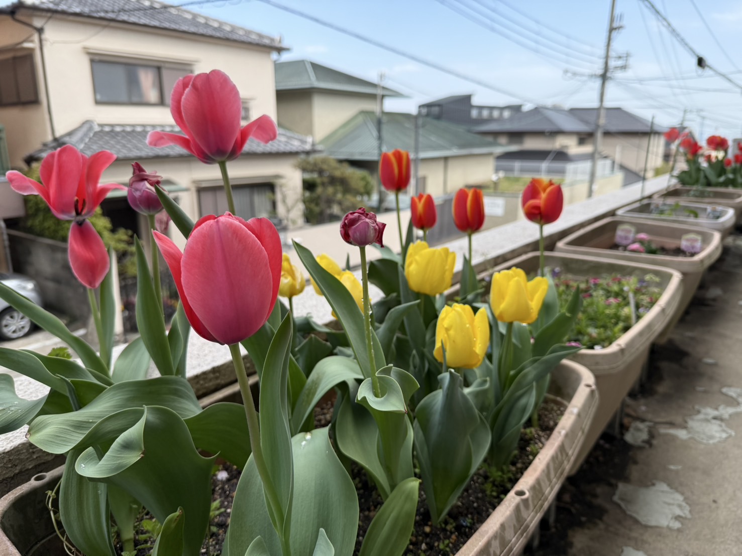 今年から２年目