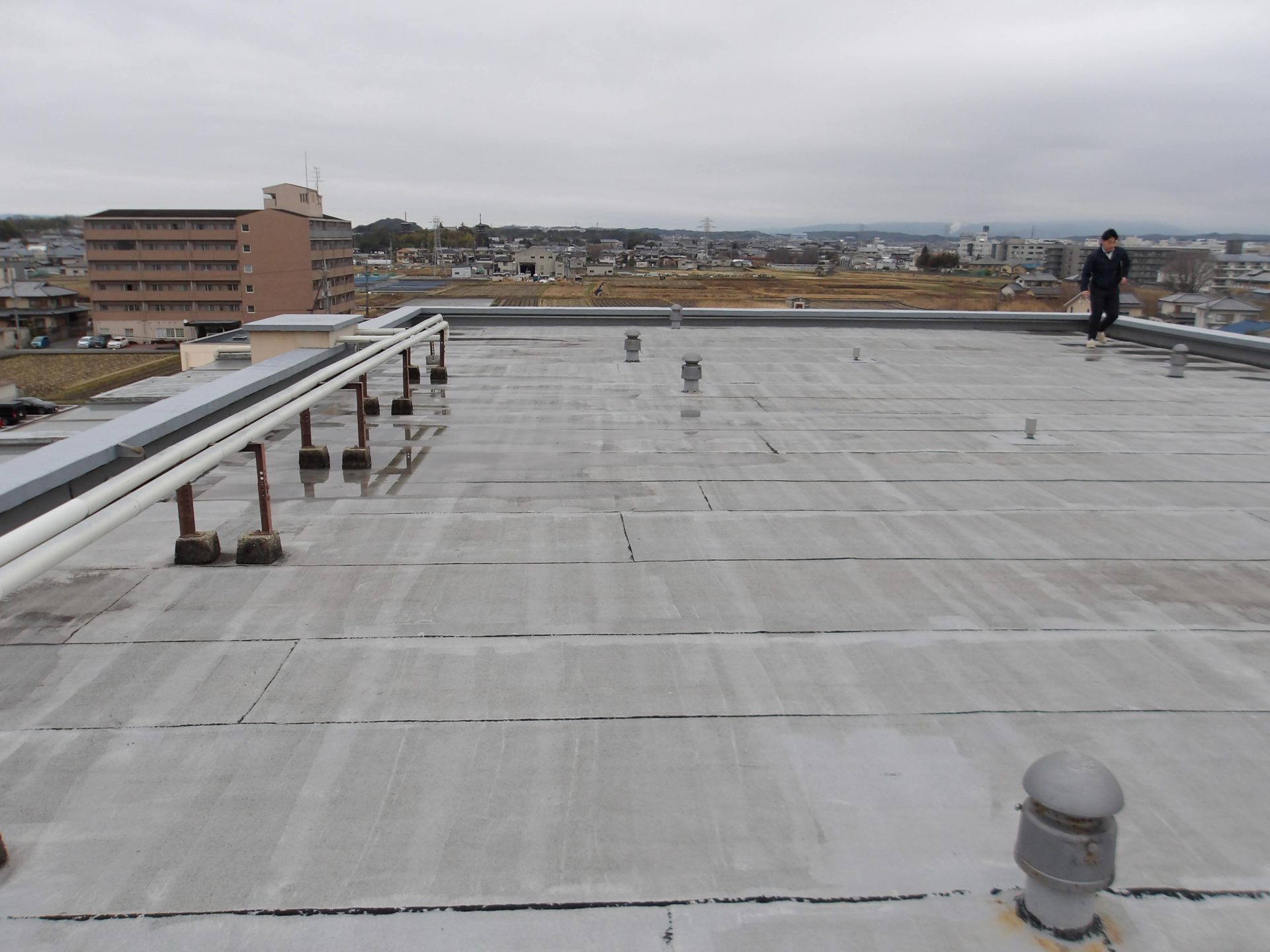 🦌 奈良県の物件へ現地調査に行ってきました🏯