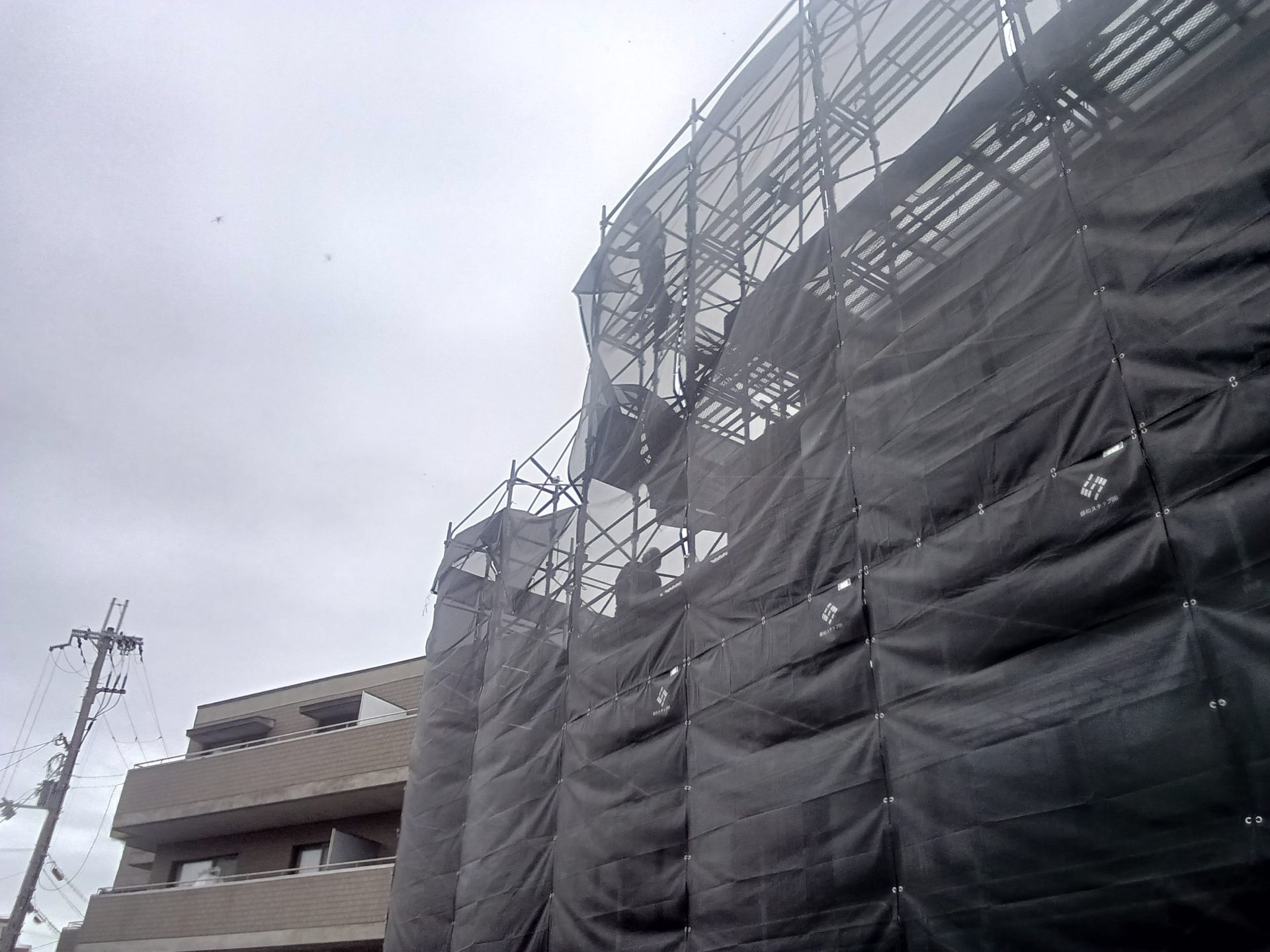 春がきたと思ったら、