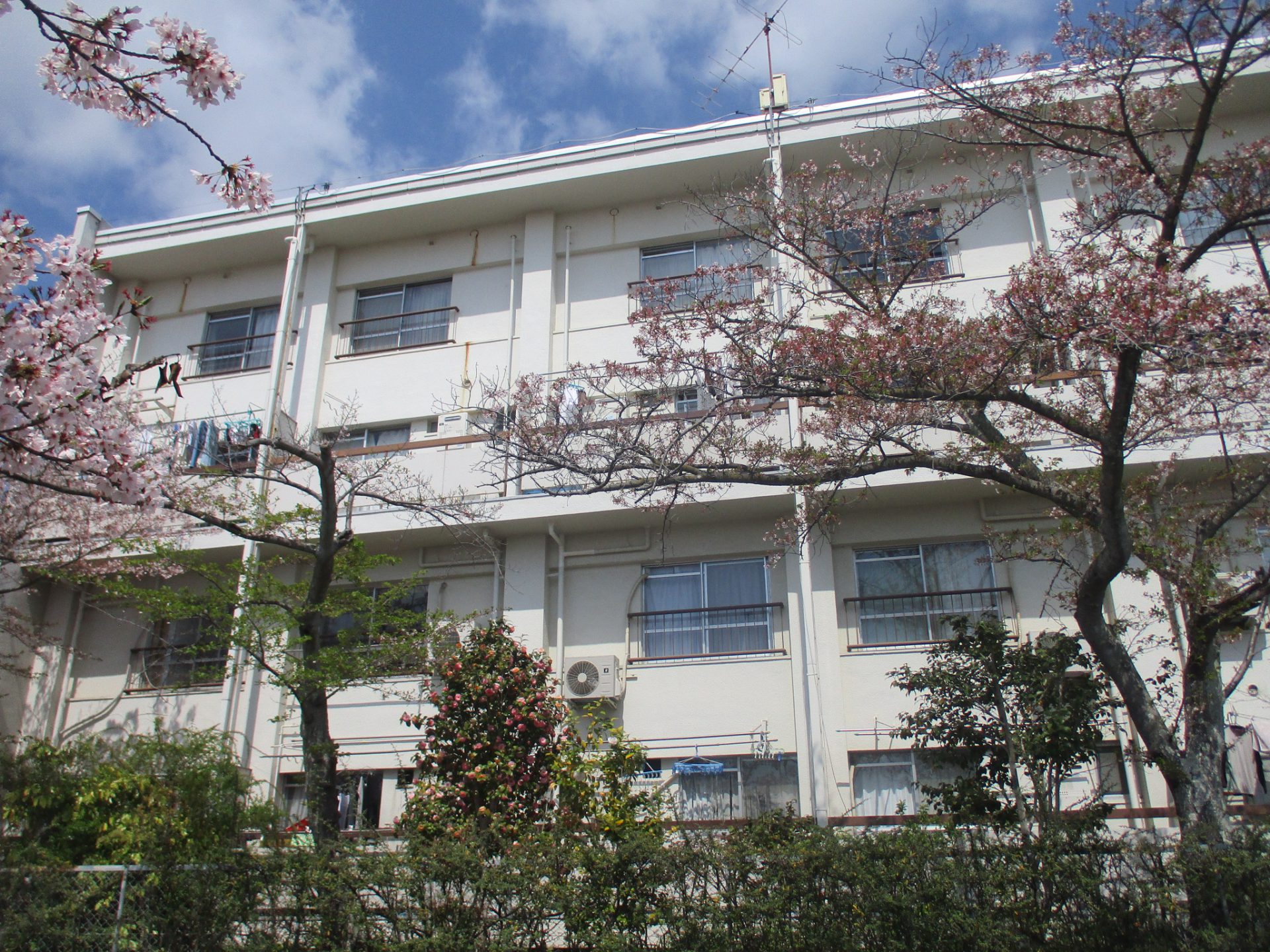 【施工中】集合住宅T・C 大規模修繕工事